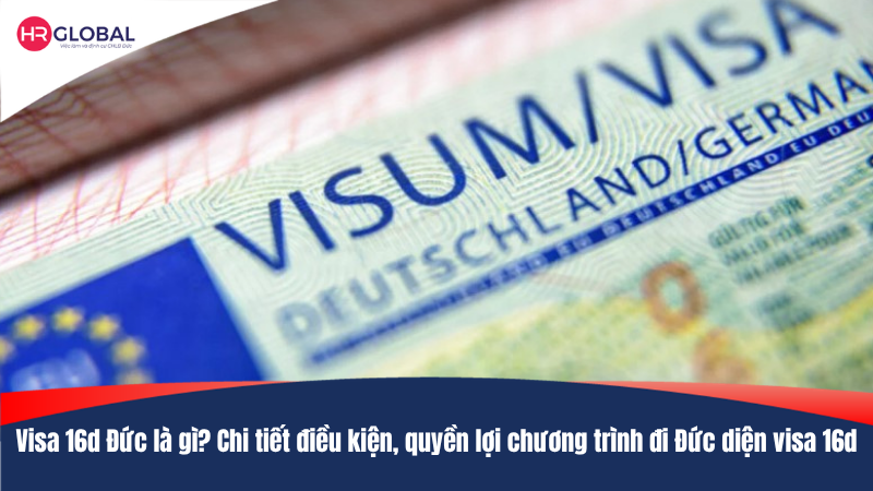 Visa 16d Đức là gì? Chi tiết điều kiện, quyền lợi chương trình đi Đức diện visa 16d