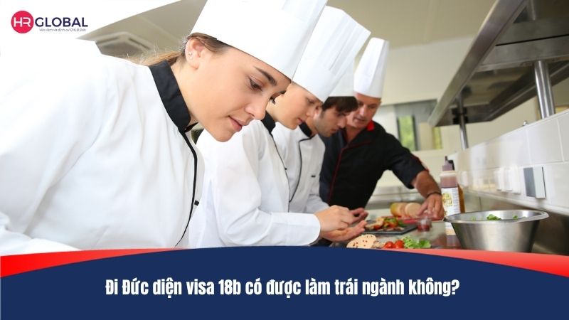 Đi Đức diện visa 18b có được làm trái ngành không?